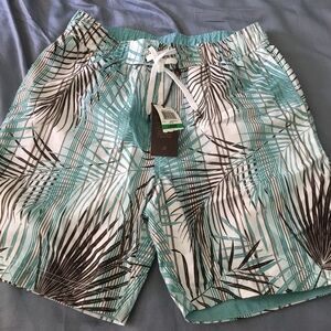 Tasso Elba Teal and Brown Swim Trunks